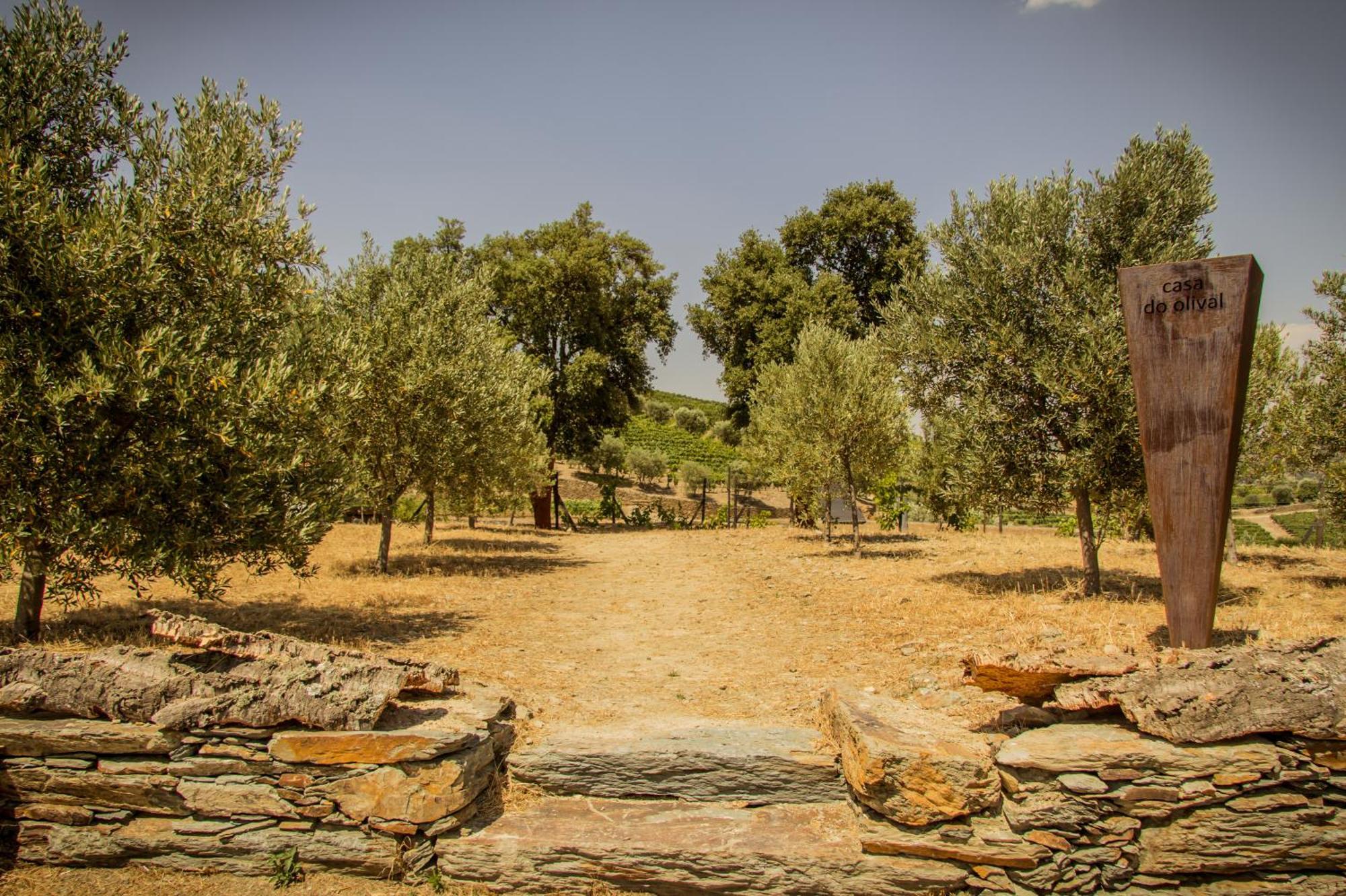 Quinta Vale Das Papas Casal de Loivos Экстерьер фото
